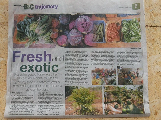 508154427_9918151618233554_8783988820598152035_n