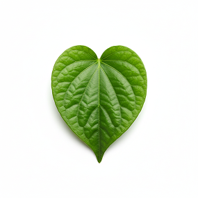 Betal leafy