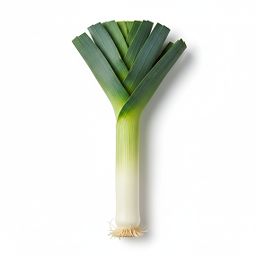 Leek