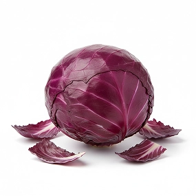 Red cabbage