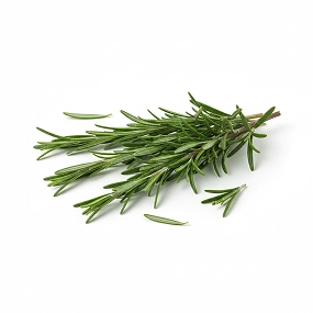 Rosemary