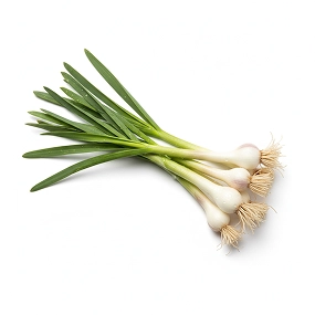 Spring garlic