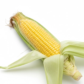 Sweet corn peel