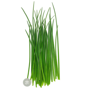 WhatsApp Image 2026-02-27 at 12.35