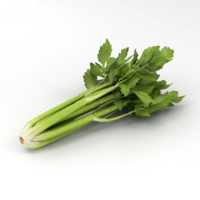 celery (1)