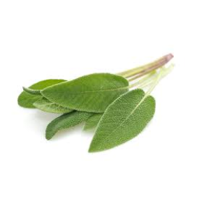 sage