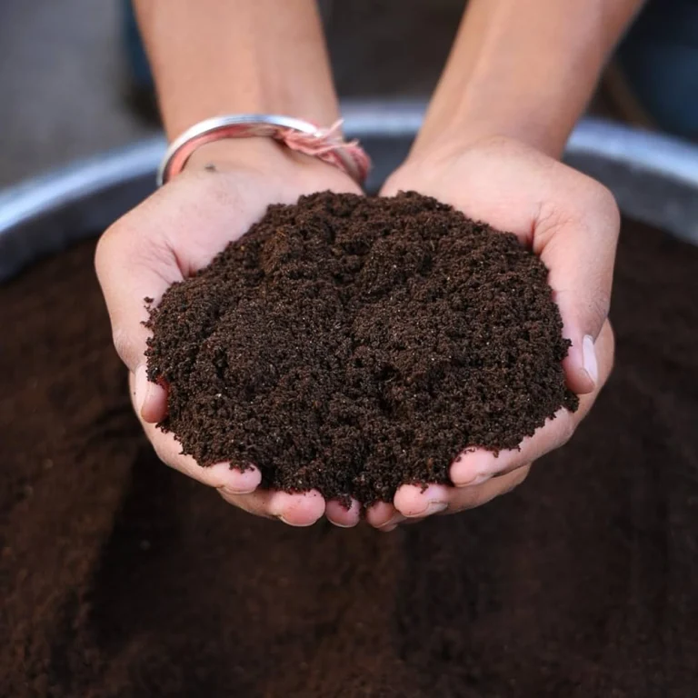 vermicompost