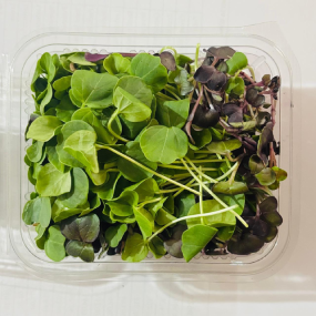 Mix microgreens