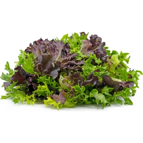 MixLettuces (1)