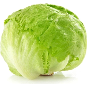 iceberg lettuce new