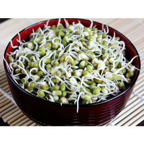mung sprouts