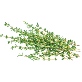 thyme