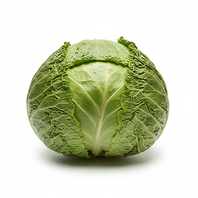 Organic Cabbage